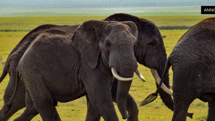 romantischereise.de_2377